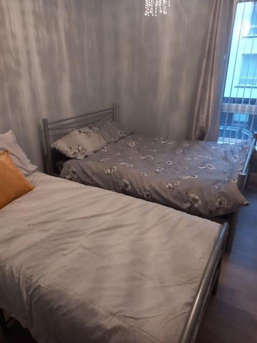 Modern 2-Bedroom City Apartment With Free Parking ベルファスト エクステリア 写真